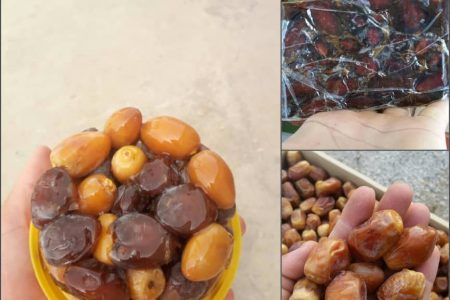 خرمای کبکاب و زاهدی بوشهر ثبت جهانی شدند
