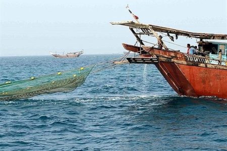 جوابیه به مطلب مندرج صید ترال کف روب، نابودگر خلیج فارس