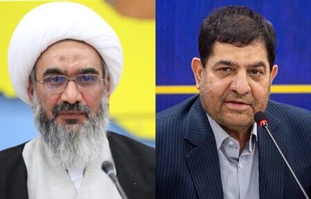 امام جمعه بوشهر پیگیر مسائل استان در دیدار با معاون اول رئیس جمهور