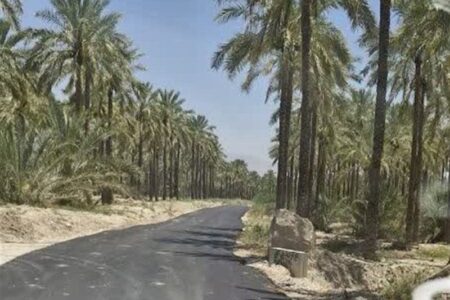 ۴۲۰۰ متر از جاده بین مزارع وحدتیه آسفالت شد