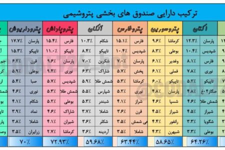 تفاوت استراتژی صندوق‌های بخشی پتروشیمی در ترکیب دارایی